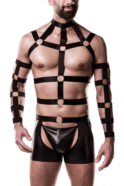 5-teilges harness-set 20050 von grey velvet